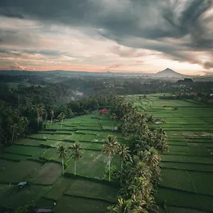 Gasthuis Ayu Duwur Beji ***